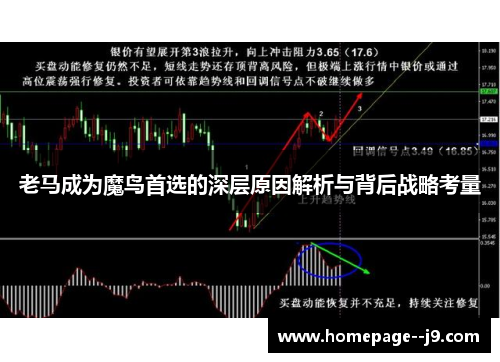 老马成为魔鸟首选的深层原因解析与背后战略考量