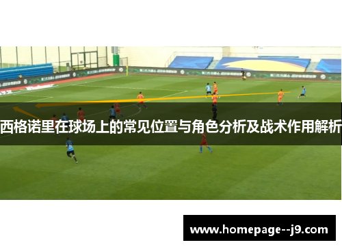 西格诺里在球场上的常见位置与角色分析及战术作用解析
